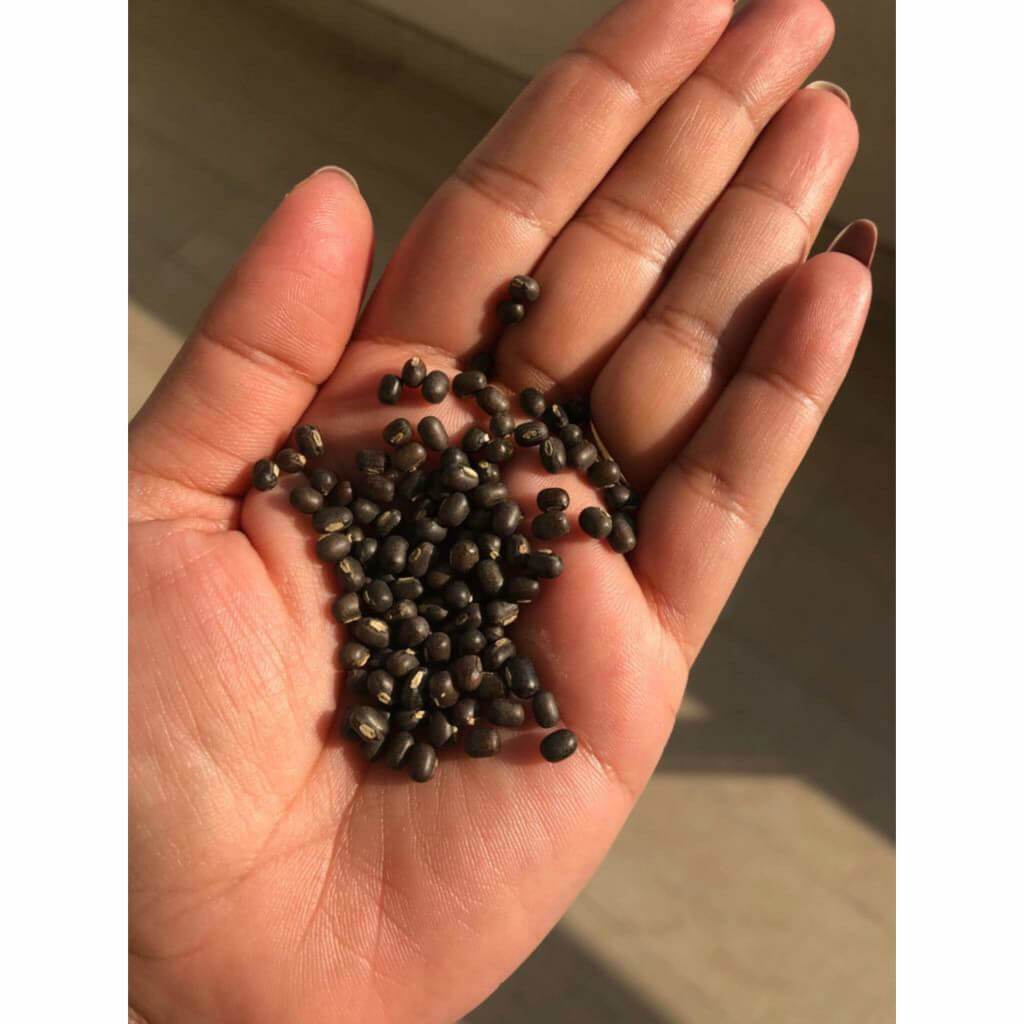 Balaayah Fekete Urad Bab Testet Erősítő Olaj (Balaayah Black Gram Body booster)