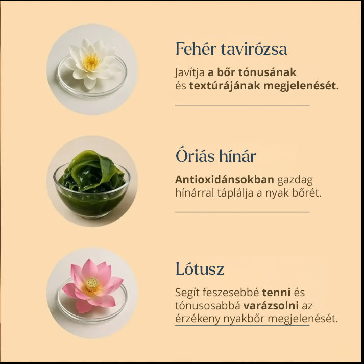 Firm-Focus Nyakmaszk (Firm-Focus Neck Mask)